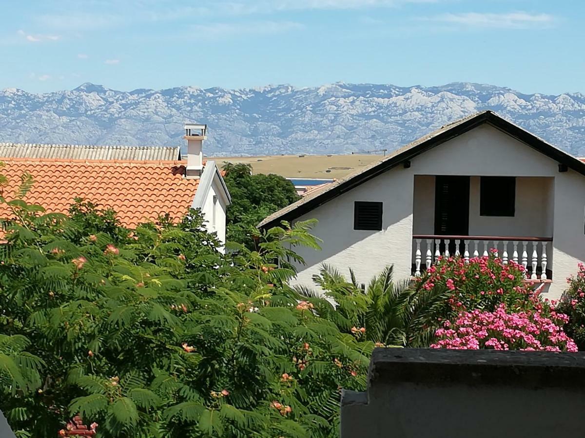 Apartman Zidak Vir Buitenkant foto